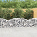 Coș gabion arcuit 200x50x60/80 cm fier galvanizat - WALTI WALTI