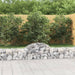 Coș gabion arcuit, 200x30x40/60 cm, fier galvanizat - WALTI WALTI