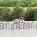 Coș gabion arcuit 200x30x60/80 cm fier galvanizat - WALTI WALTI