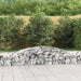 Coș gabion arcuit 400x50x40/60 cm fier galvanizat - WALTI WALTI