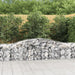 Coș gabion arcuit 400x50x60/80 cm fier galvanizat - WALTI WALTI