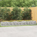 Strat înălțat cu gabion arcuit, 400x50x50 cm, fier galvanizat - WALTI WALTI