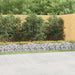 Strat înălțat cu gabion arcuit, 600x50x50 cm, fier galvanizat - WALTI WALTI
