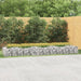 Strat înălțat cu gabion arcuit, 400x100x50 cm, fier galvanizat - WALTI WALTI