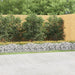 Strat înălțat cu gabion arcuit, 600x100x50 cm, fier galvanizat - WALTI WALTI