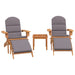 Set mobilier de grădină Adirondack, 3 piese, lemn masiv acacia - WALTI WALTI