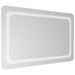 Oglindă de baie cu LED, 50x80 cm - WALTI WALTI