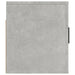 Dulap TV montat pe perete, gri beton, 100x34,5x40 cm - WALTI WALTI