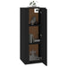 Dulap TV montat pe perete, negru, 40x34,5x100 cm - WALTI WALTI
