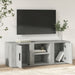 Comodă TV, gri beton, 100x31,5x35 cm, lemn prelucrat - WALTI WALTI