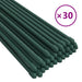 Țăruși pentru plante de grădină, 30 buc., verde, 180 cm, oțel - WALTI WALTI