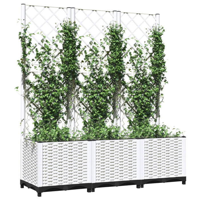 Jardinieră de grădină cu spalier, alb, 120x40x136 cm PP - WALTI WALTI