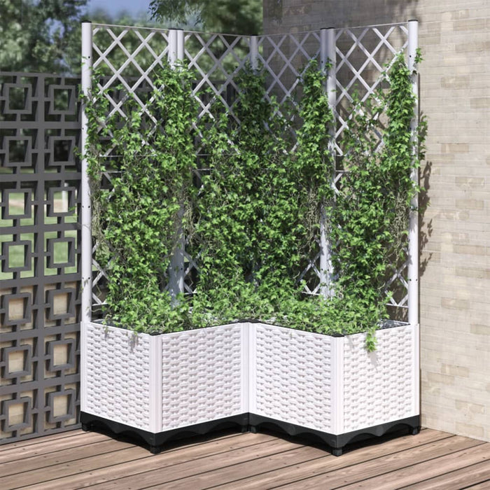 Jardinieră de grădină cu spalier, alb, 80x80x136 cm, PP WALTI