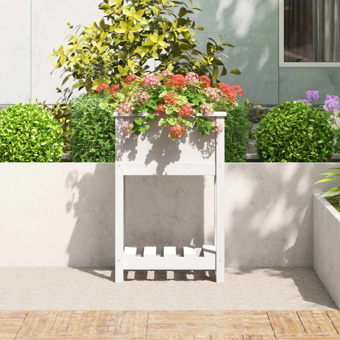 Jardinieră cu raft, alb, 54x34,5x81 cm, lemn masiv de pin - WALTI WALTI