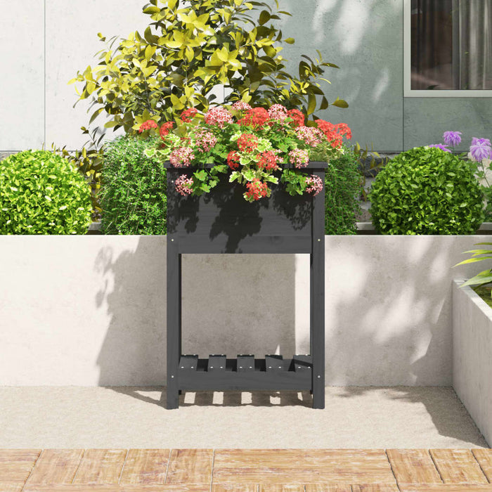 Jardinieră cu raft, gri, 54x34,5x81 cm, lemn masiv de pin - WALTI WALTI