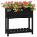 Jardinieră cu raft, negru, 82,5x34,5x81 cm, lemn masiv de pin - WALTI WALTI