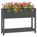 Jardinieră cu raft, gri, 111,5x34,5x81 cm, lemn masiv de pin - WALTI WALTI