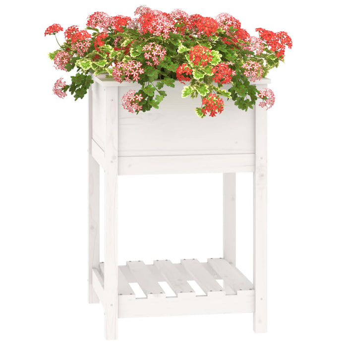 Jardinieră cu raft, alb, 54x54x81 cm, lemn masiv de pin - WALTI WALTI