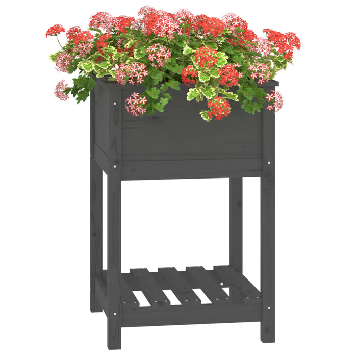 Jardinieră cu raft, gri, 54x54x81 cm, lemn masiv de pin - WALTI WALTI