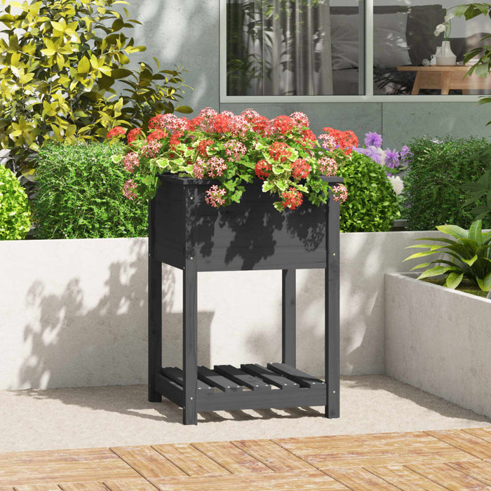 Jardinieră cu raft, gri, 54x54x81 cm, lemn masiv de pin - WALTI WALTI