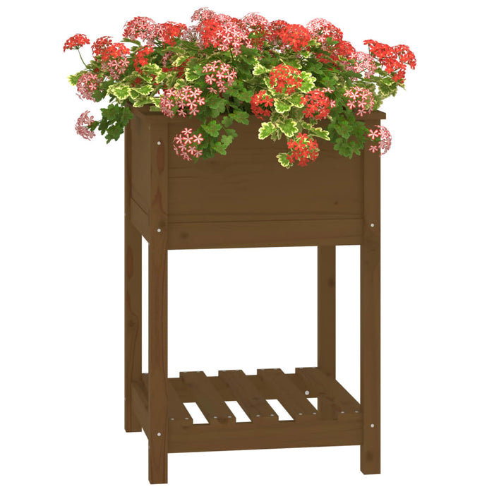 Jardinieră cu raft, maro miere, 54x54x81 cm, lemn masiv pin - WALTI WALTI