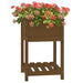 Jardinieră cu raft, maro miere, 54x54x81 cm, lemn masiv pin - WALTI WALTI