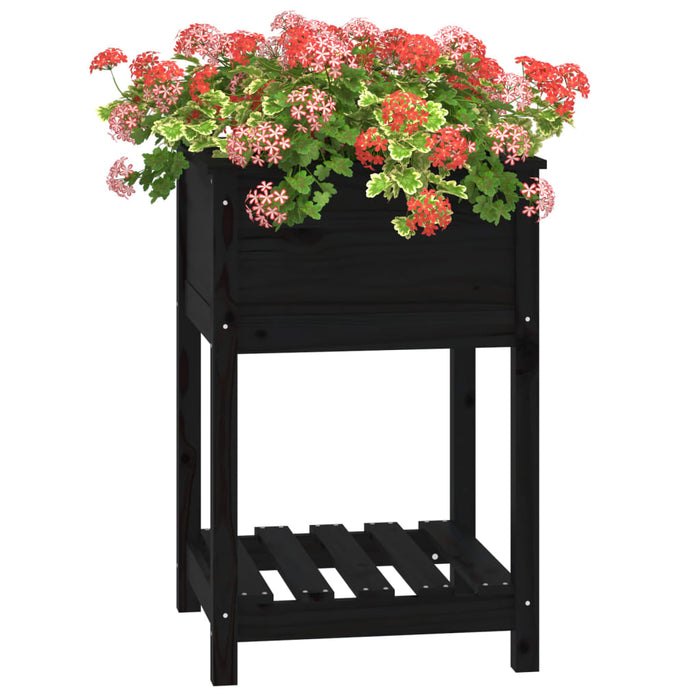 Jardinieră cu raft, negru, 54x54x81 cm, lemn masiv de pin - WALTI WALTI