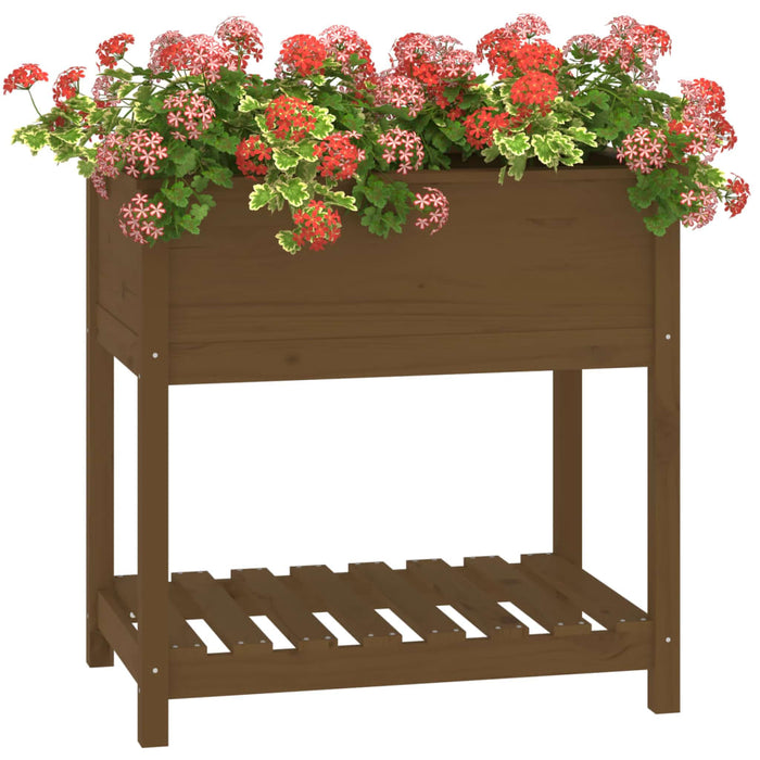 Jardinieră cu raft, maro miere, 82,5x54x81 cm, lemn masiv pin - WALTI WALTI