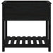 Jardinieră cu raft, negru, 82,5x54x81 cm, lemn masiv de pin - WALTI WALTI