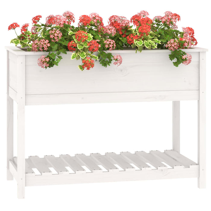 Jardinieră cu raft, alb, 111,5x54x81 cm, lemn masiv de pin - WALTI WALTI