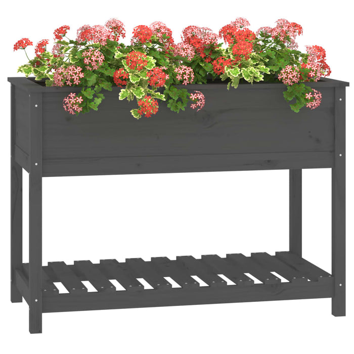 Jardinieră cu raft, gri, 111,5x54x81 cm, lemn masiv de pin - WALTI WALTI