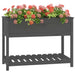 Jardinieră cu raft, gri, 111,5x54x81 cm, lemn masiv de pin - WALTI WALTI