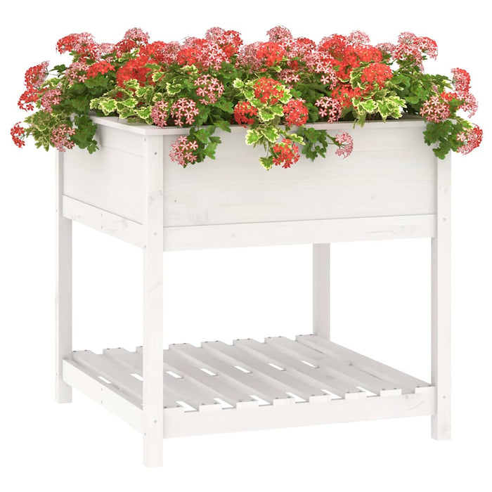 Jardinieră cu raft, alb, 82,5x82,5x81 cm, lemn masiv de pin - WALTI WALTI