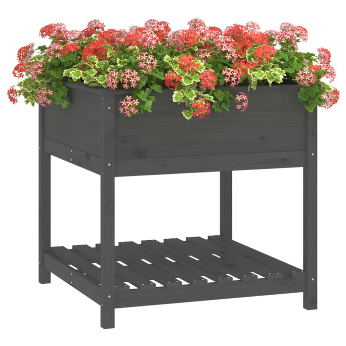 Jardinieră cu raft, gri, 82,5x82,5x81 cm, lemn masiv de pin - WALTI WALTI