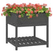 Jardinieră cu raft, gri, 82,5x82,5x81 cm, lemn masiv de pin - WALTI WALTI