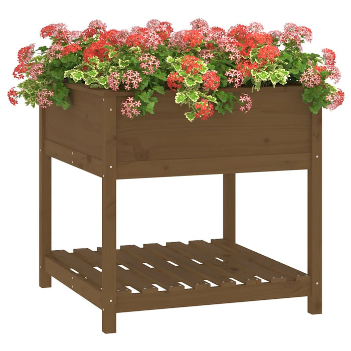 Jardinieră cu raft, maro miere, 82,5x82,5x81 cm, lemn masiv pin - WALTI WALTI