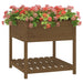 Jardinieră cu raft, maro miere, 82,5x82,5x81 cm, lemn masiv pin - WALTI WALTI