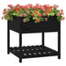Jardinieră cu raft, negru, 82,5x82,5x81 cm, lemn masiv de pin - WALTI WALTI