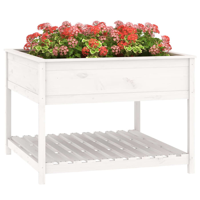 Jardinieră cu raft, alb, 111,5x111,5x81 cm, lemn masiv de pin - WALTI WALTI