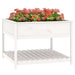Jardinieră cu raft, alb, 111,5x111,5x81 cm, lemn masiv de pin - WALTI WALTI