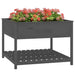 Jardinieră cu raft, gri, 111,5x111,5x81 cm, lemn masiv de pin - WALTI WALTI