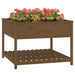 Jardinieră cu raft maro miere 111,5x111,5x81 cm lemn masiv pin - WALTI WALTI