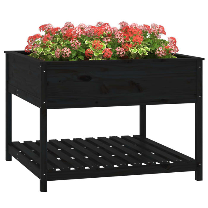 Jardinieră cu raft, negru, 111,5x111,5x81 cm, lemn masiv de pin - WALTI WALTI