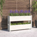 Jardinieră, alb, 112x25x66 cm, lemn masiv de pin - WALTI WALTI