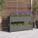 Jardinieră, gri, 112x25x66 cm, lemn masiv de pin - WALTI WALTI