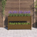 Jardinieră, maro miere, 112x25x66 cm, lemn masiv de pin - WALTI WALTI