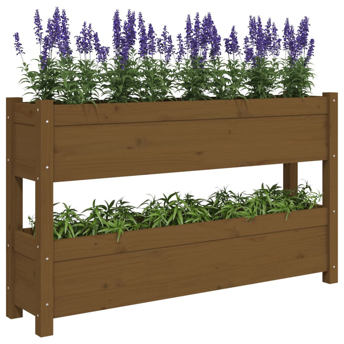 Jardinieră, maro miere, 112x25x66 cm, lemn masiv de pin - WALTI WALTI