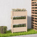 Jardinieră, 77x25x104,5 cm, lemn masiv de pin - WALTI WALTI