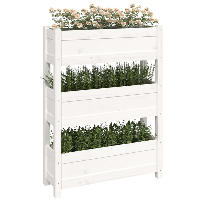 Jardinieră, alb, 77 x 25 x 104,5 cm, lemn masiv de pin - WALTI WALTI