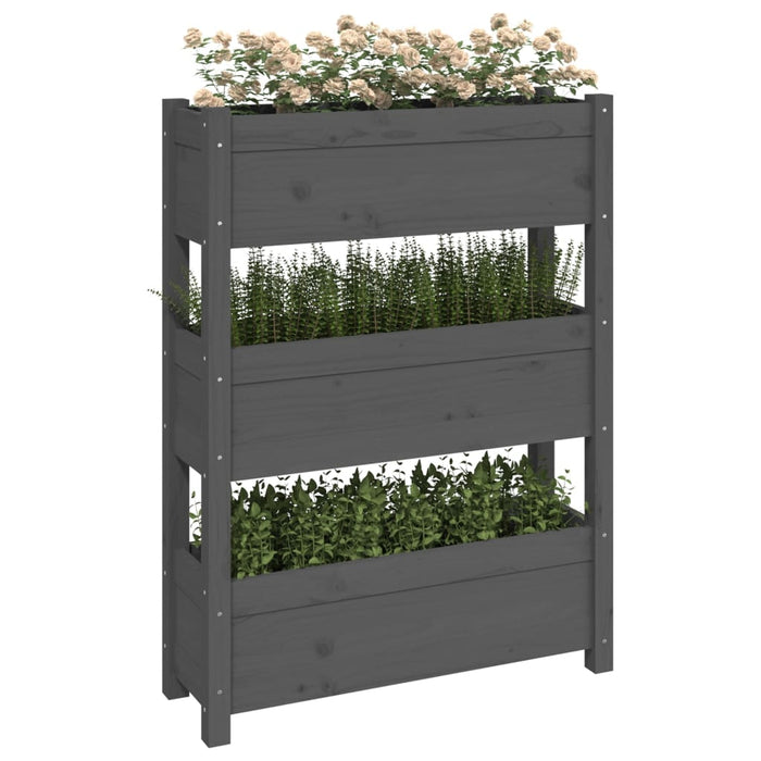 Jardinieră, gri, 77 x 25 x 104,5 cm, lemn masiv de pin - WALTI WALTI